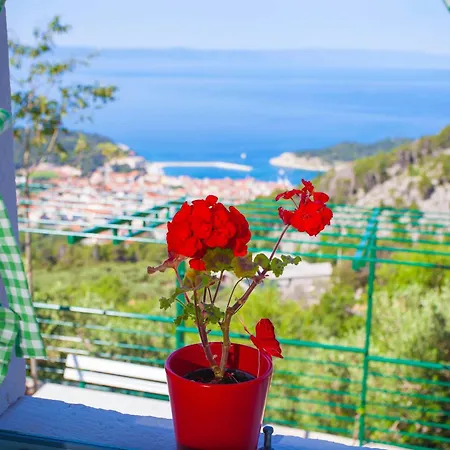 Fetiva Makar מאקרסקה